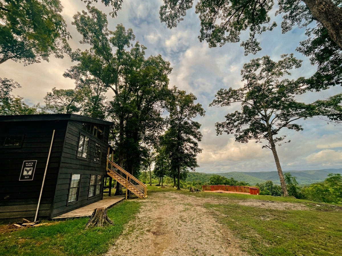The Cabin